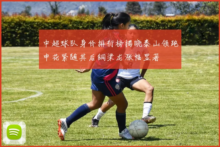 中超球队身价排行榜揭晓泰山领跑申花紧随其后铜梁龙涨幅显著