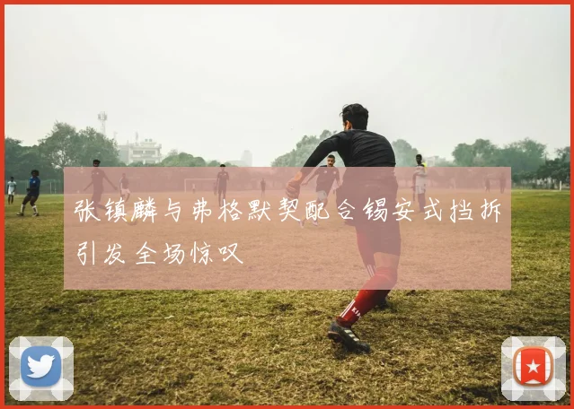 张镇麟与弗格默契配合锡安式挡拆引发全场惊叹
